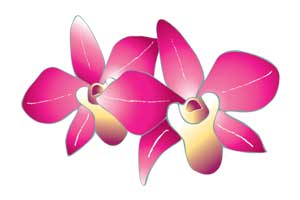 orchid
